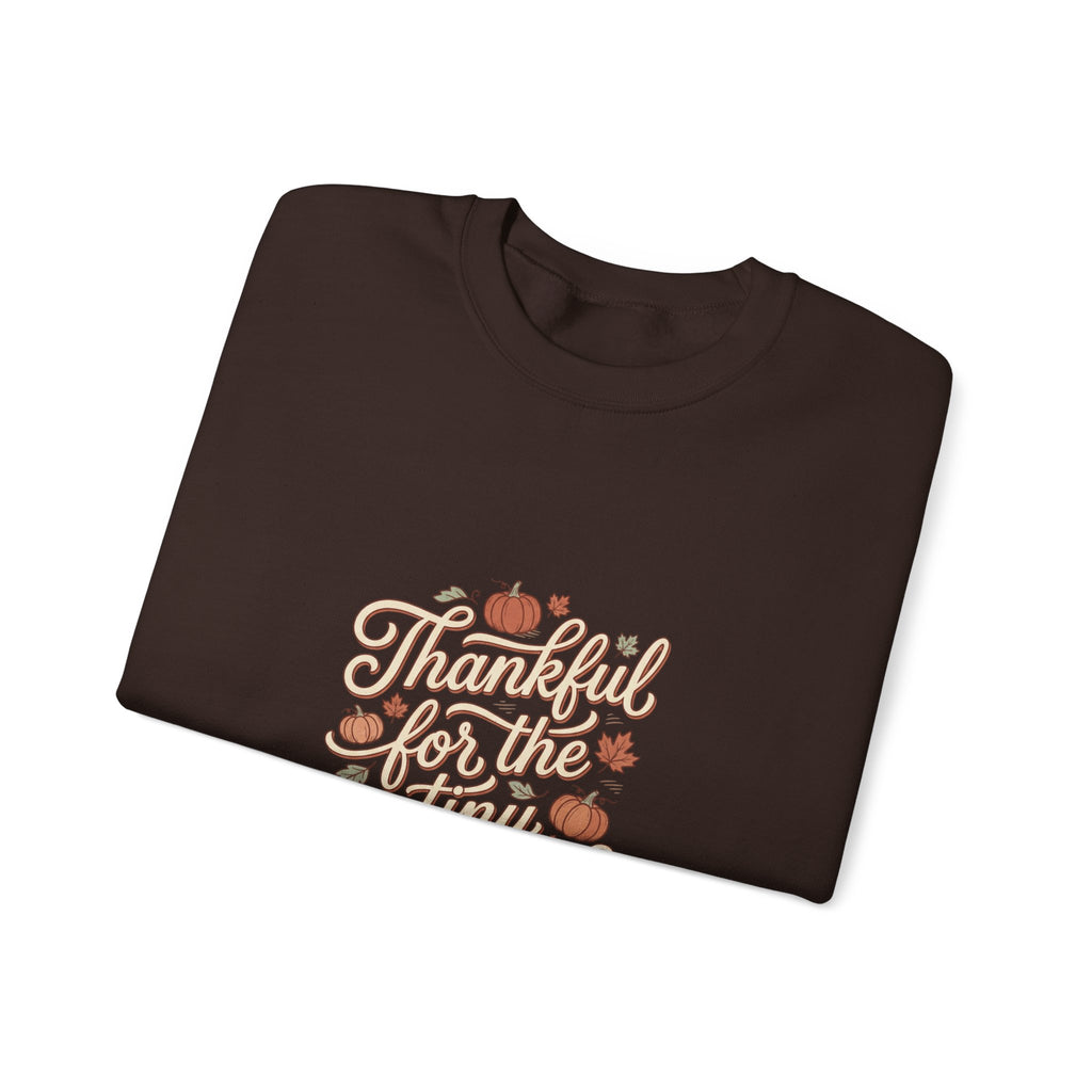 Thankful For Tiny Moments Sweatshirt | Pumpkin Fall Aesthetic