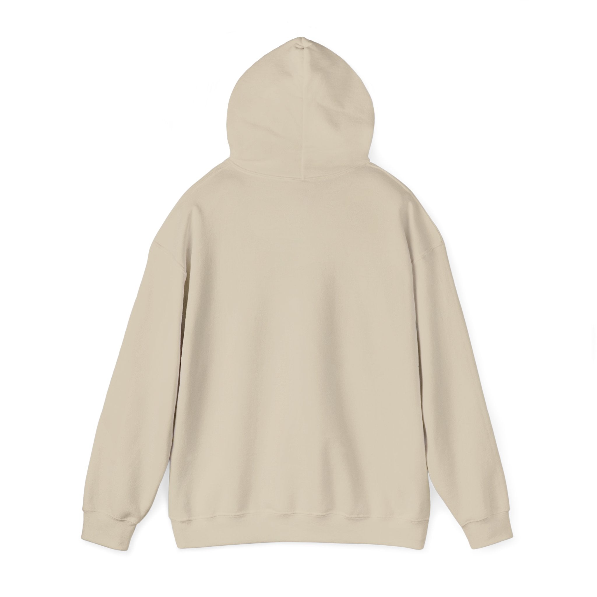 Sober Recovery Hoodie — "I Am Sober" Motivational Pullover