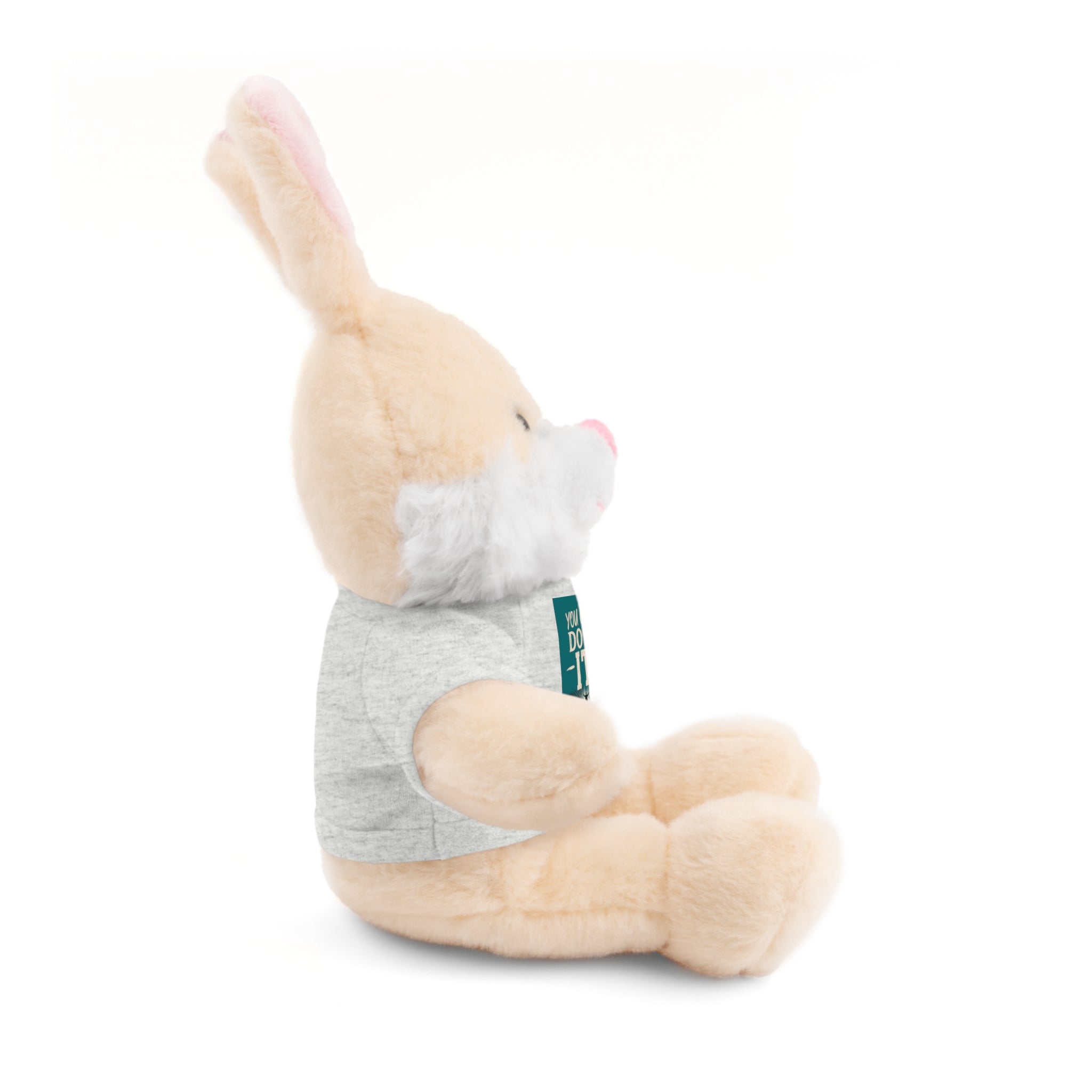 Motivational Teddy Bear with “You Can Do It!” Tee