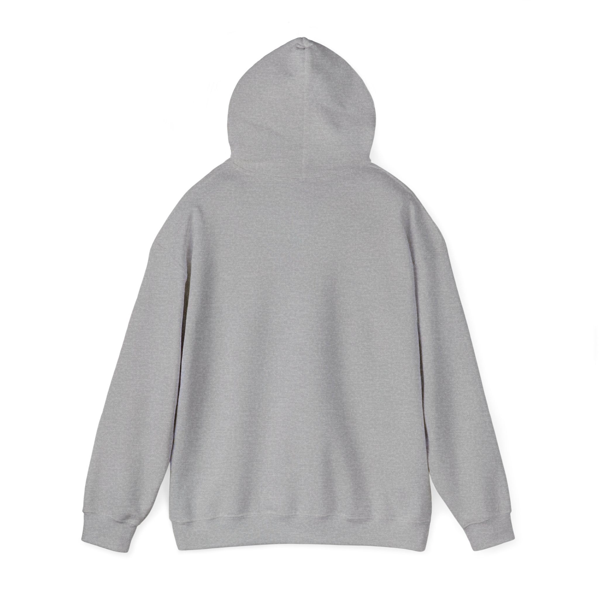Sober Recovery Hoodie — "I Am Sober" Motivational Pullover