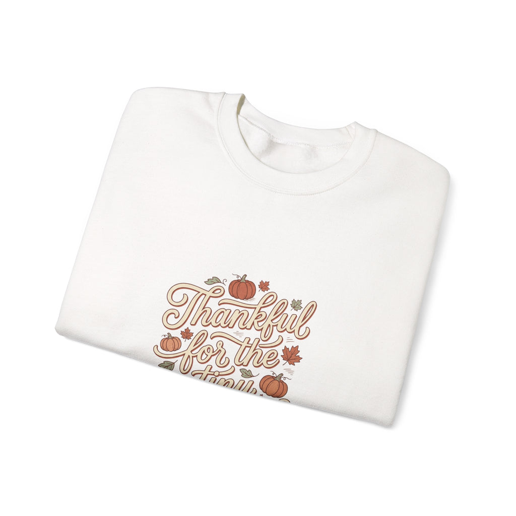Thankful For Tiny Moments Sweatshirt | Pumpkin Fall Aesthetic