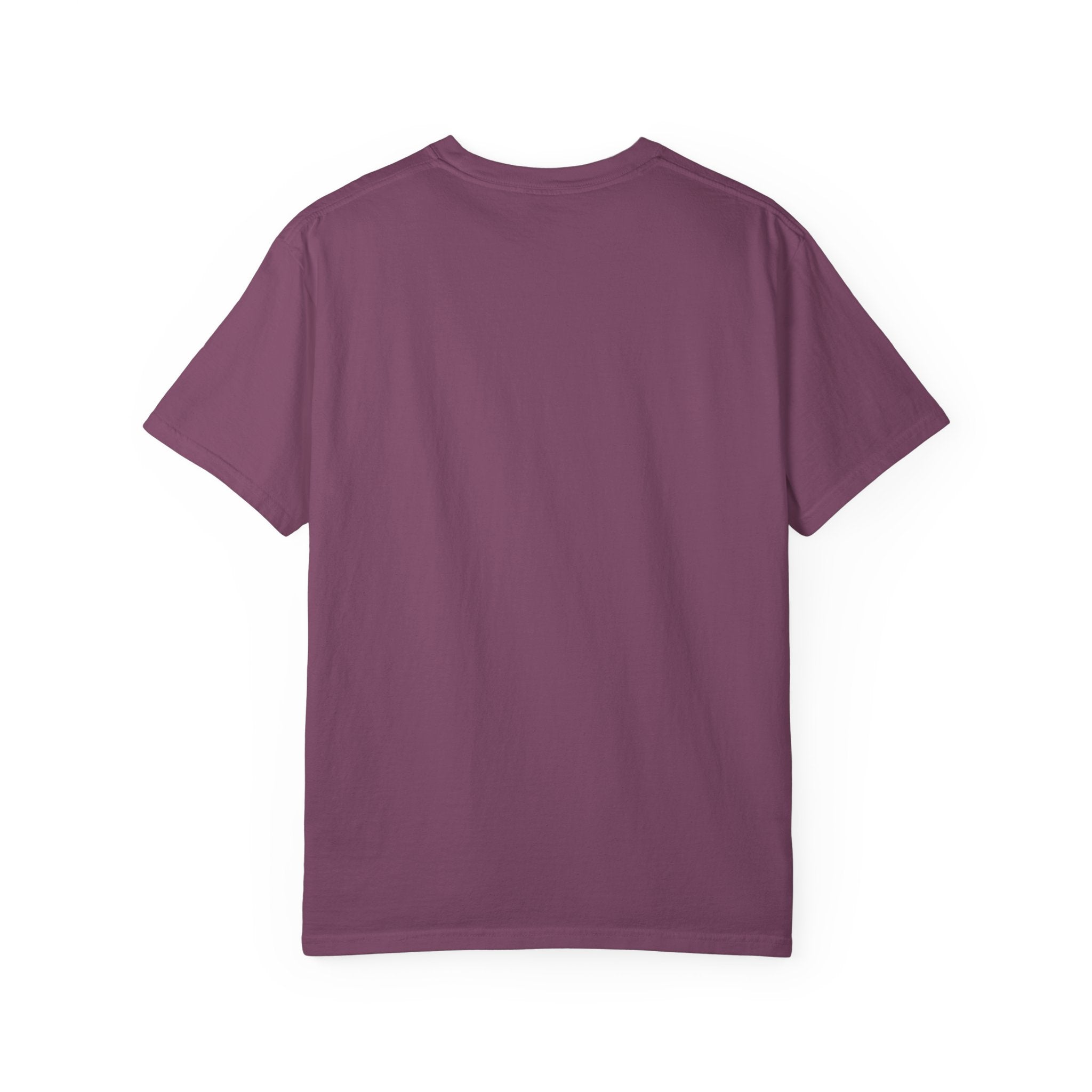 Look Dad I’m Sober T-Shirt – Recovery & Sobriety Mountain Design