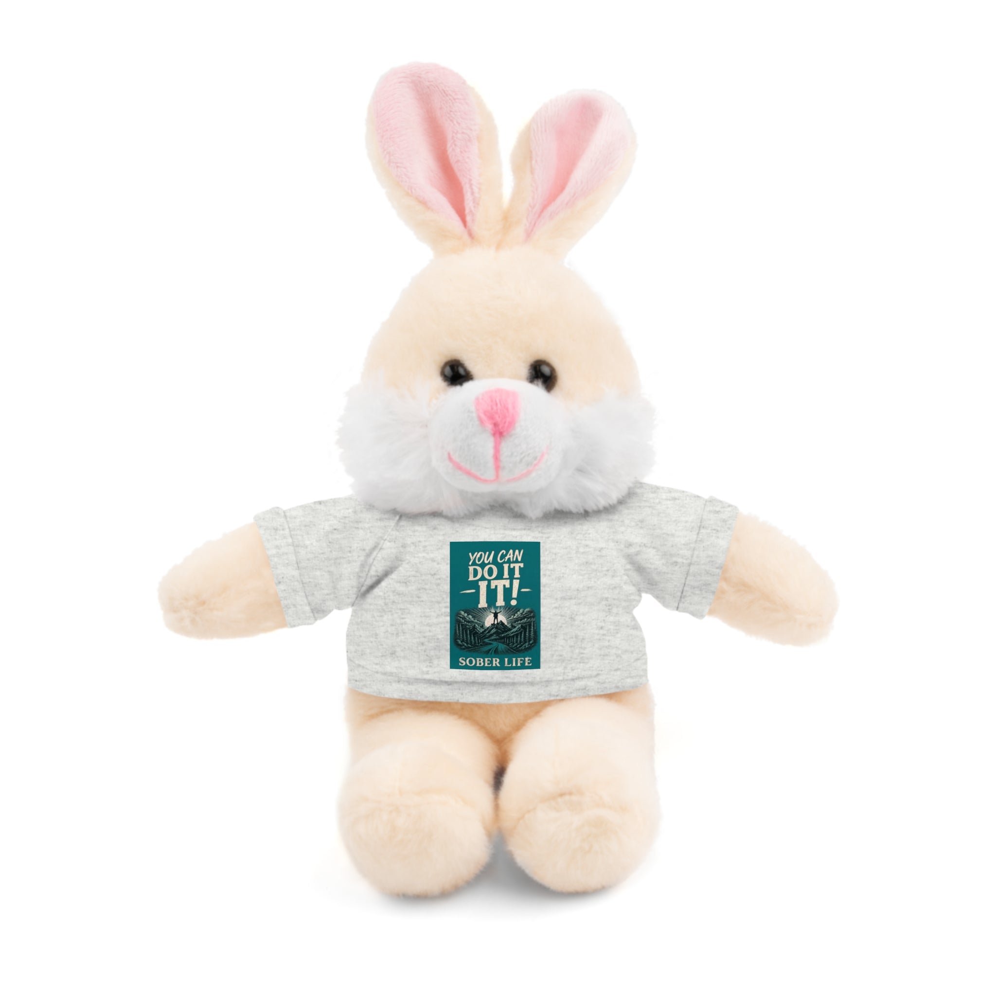 Motivational Teddy Bear with “You Can Do It!” Tee