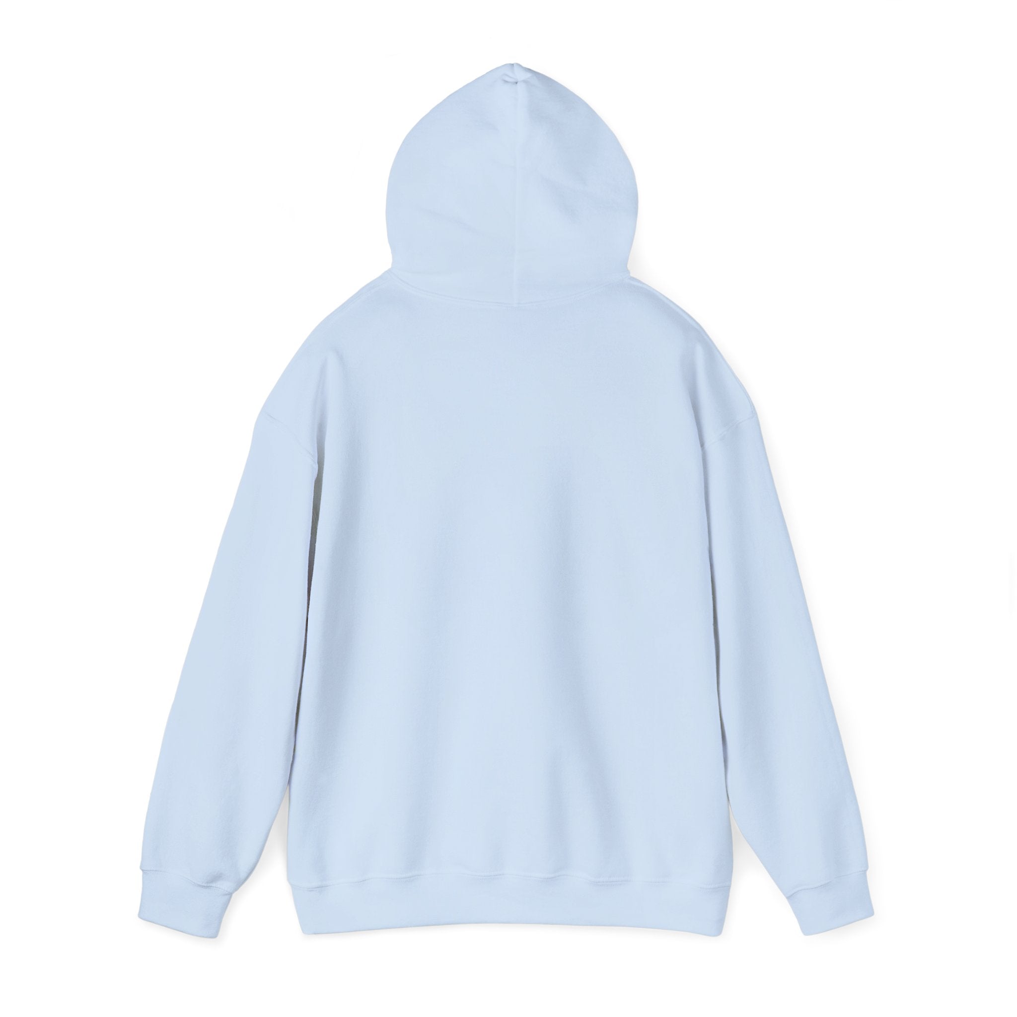 Sober Recovery Hoodie — "I Am Sober" Motivational Pullover